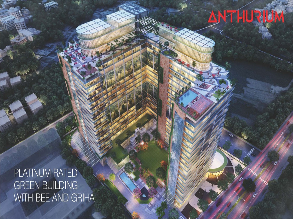 Anthurium Noida 73 Rentnoidaa